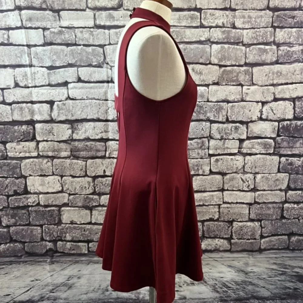 🎉🎉Host Pic🎉🎉 Free People Burgundy Sleeveless Fit & Flare Dress Size Medium